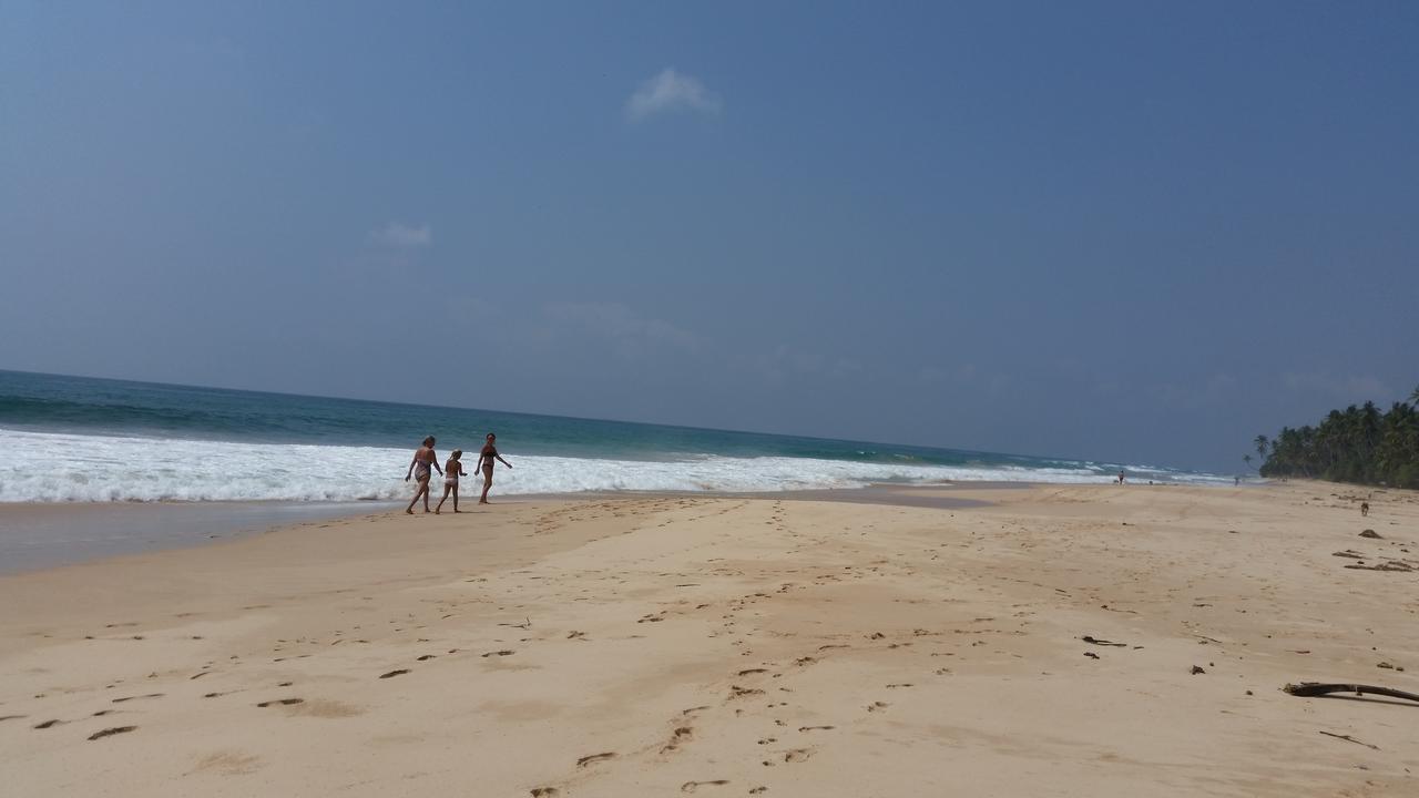 Dasa Beach View Habaraduwa Central Eksteriør billede